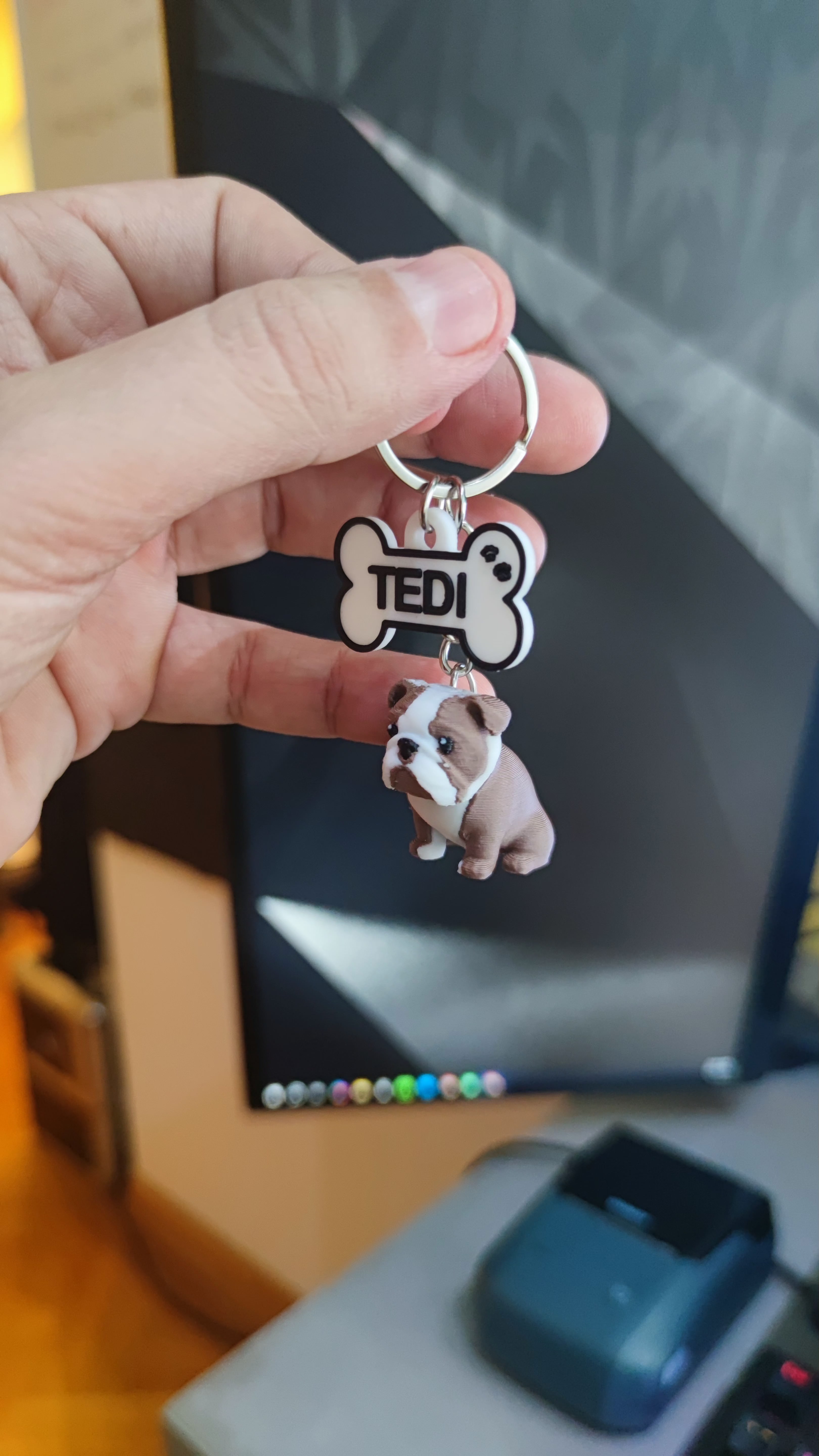 Engleski Buldog + Personalizovana koska sa imenom